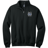 East Coast Vikings (Ladies) NuBlend 1/4-Zip Cadet Collar Sweatshirt