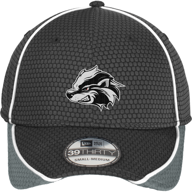 Allegheny Badgers New Era Hex Mesh Cap